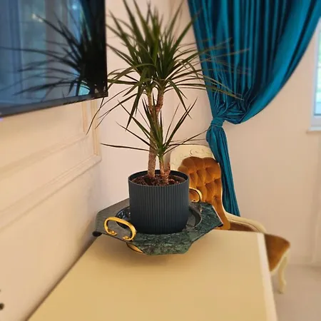 Lägenhet Phoenix Nest *